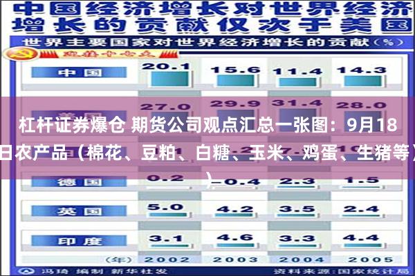 杠杆证券爆仓 期货公司观点汇总一张图：9月18日农产品（棉花、豆粕、白糖、玉米、鸡蛋、生猪等）