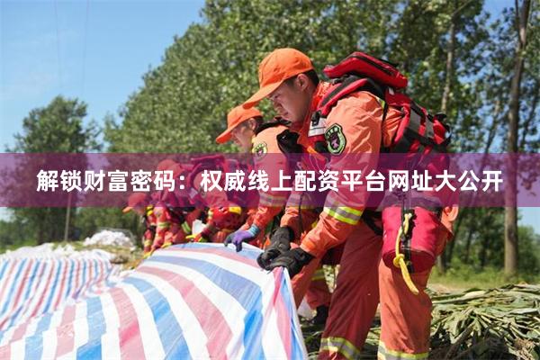 解锁财富密码：权威线上配资平台网址大公开