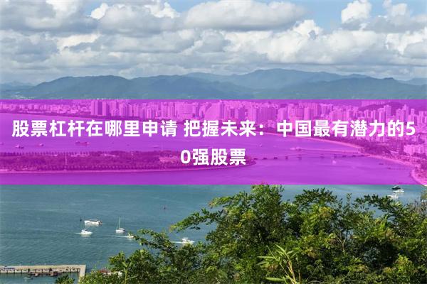 股票杠杆在哪里申请 把握未来：中国最有潜力的50强股票