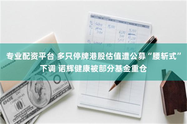 专业配资平台 多只停牌港股估值遭公募“腰斩式”下调 诺辉健康被部分基金重仓