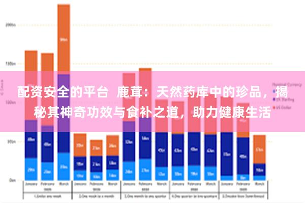 配资安全的平台  鹿茸：天然药库中的珍品，揭秘其神奇功效与食补之道，助力健康生活