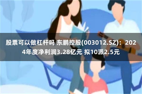 股票可以做杠杆吗 东鹏控股(003012.SZ)：2024年度净利润3.28亿元 拟10派2.5元