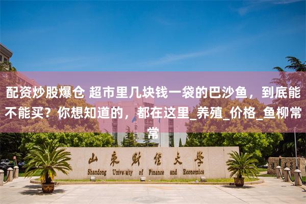 配资炒股爆仓 超市里几块钱一袋的巴沙鱼，到底能不能买？你想知道的，都在这里_养殖_价格_鱼柳常
