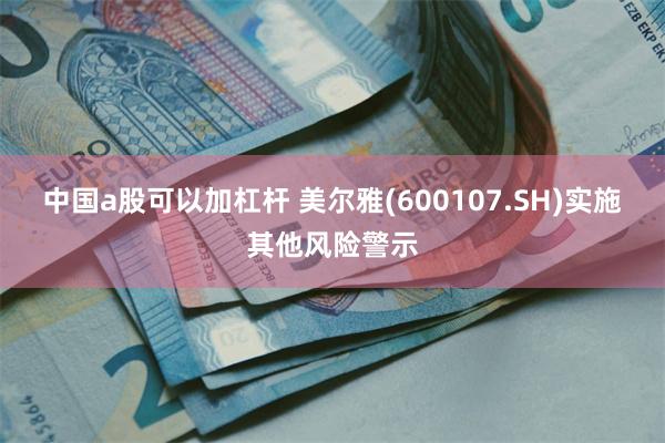 中国a股可以加杠杆 美尔雅(600107.SH)实施其他风险警示