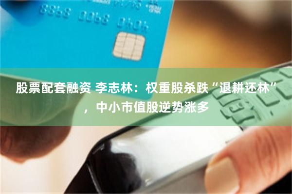 股票配套融资 李志林：权重股杀跌“退耕还林”，中小市值股逆势涨多