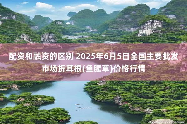 配资和融资的区别 2025年6月5日全国主要批发市场折耳根(鱼腥草)价格行情