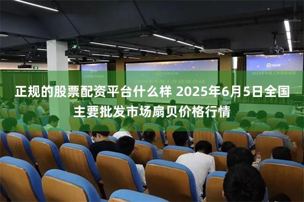 正规的股票配资平台什么样 2025年6月5日全国主要批发市场扇贝价格行情