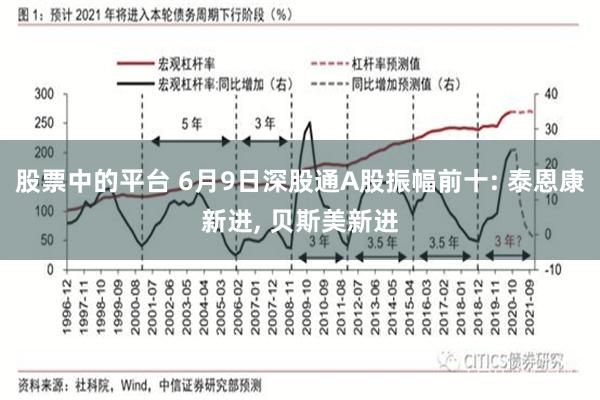 股票中的平台 6月9日深股通A股振幅前十: 泰恩康新进, 贝斯美新进
