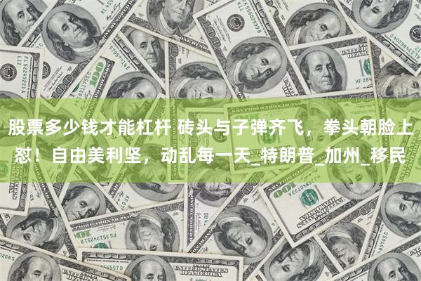 股票多少钱才能杠杆 砖头与子弹齐飞，拳头朝脸上怼！自由美利坚，动乱每一天_特朗普_加州_移民
