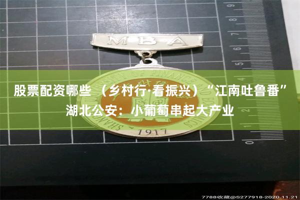 股票配资哪些 （乡村行·看振兴）“江南吐鲁番”湖北公安：小葡萄串起大产业