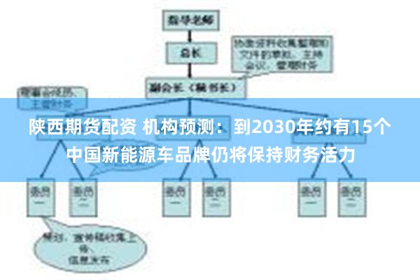 陕西期货配资 机构预测：到2030年约有15个中国新能源车品牌仍将保持财务活力