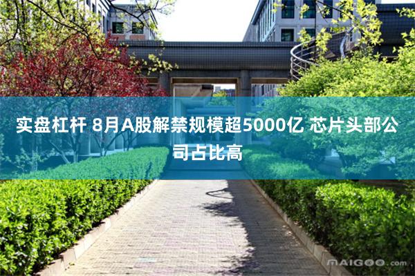 实盘杠杆 8月A股解禁规模超5000亿 芯片头部公司占比高