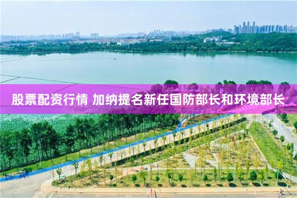 股票配资行情 加纳提名新任国防部长和环境部长