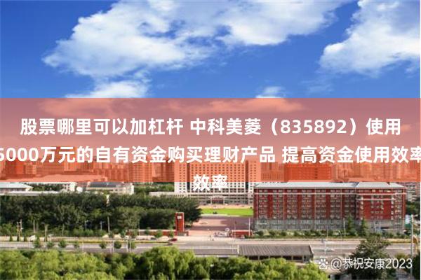 股票哪里可以加杠杆 中科美菱（835892）使用5000万元的自有资金购买理财产品 提高资金使用效率