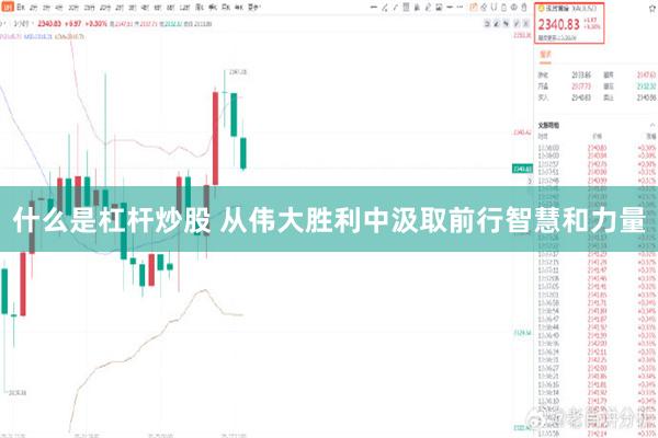 什么是杠杆炒股 从伟大胜利中汲取前行智慧和力量