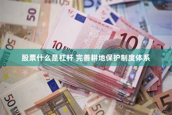 股票什么是杠杆 完善耕地保护制度体系