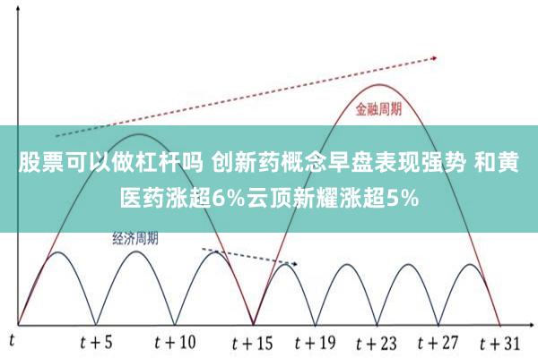 股票可以做杠杆吗 创新药概念早盘表现强势 和黄医药涨超6%云顶新耀涨超5%