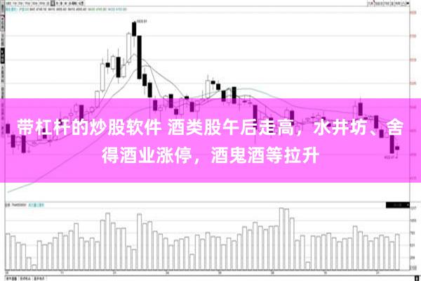 带杠杆的炒股软件 酒类股午后走高，水井坊、舍得酒业涨停，酒鬼酒等拉升