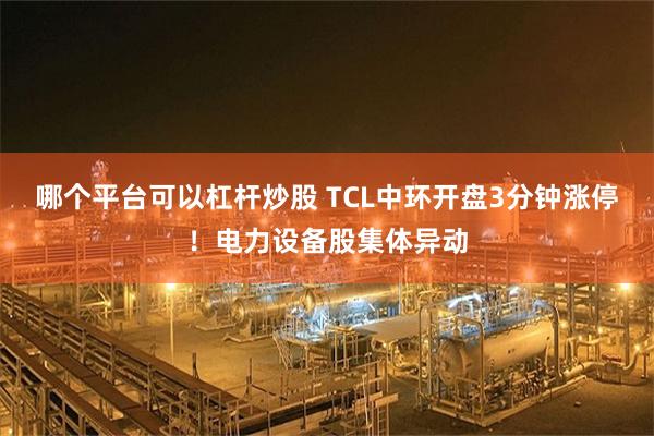 哪个平台可以杠杆炒股 TCL中环开盘3分钟涨停!电力设备股集体异动