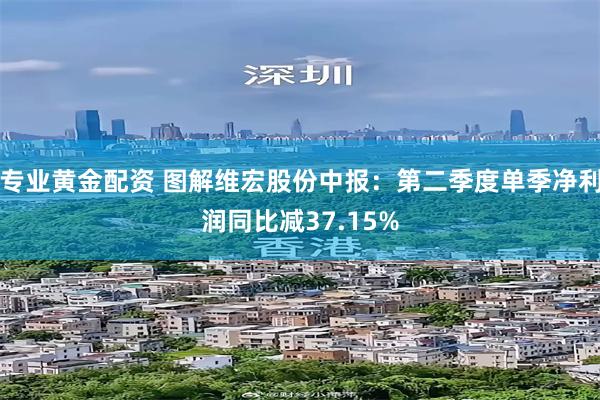 专业黄金配资 图解维宏股份中报：第二季度单季净利润同比减37.15%
