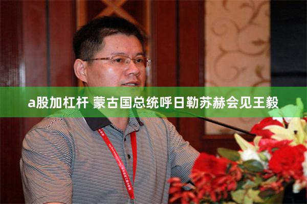 a股加杠杆 蒙古国总统呼日勒苏赫会见王毅