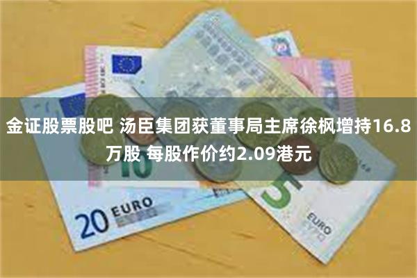 金证股票股吧 汤臣集团获董事局主席徐枫增持16.8万股 每股作价约2.09港元