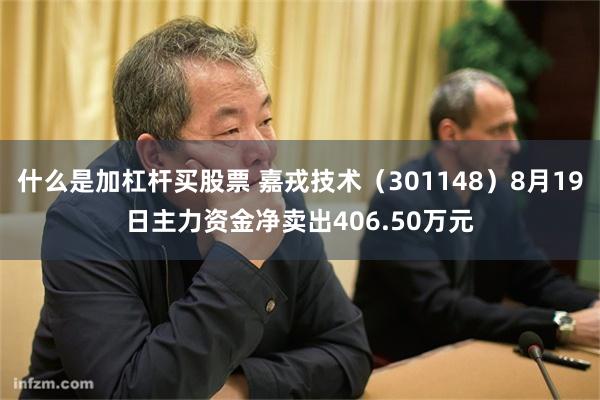 什么是加杠杆买股票 嘉戎技术（301148）8月19日主力资金净卖出406.50万元