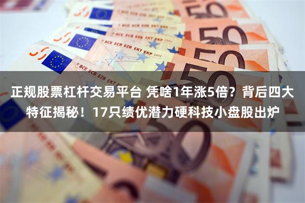 正规股票杠杆交易平台 凭啥1年涨5倍？背后四大特征揭秘！17只绩优潜力硬科技小盘股出炉