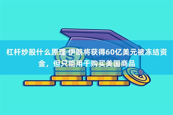 杠杆炒股什么原理 伊朗将获得60亿美元被冻结资金，但只能用于购买美国商品