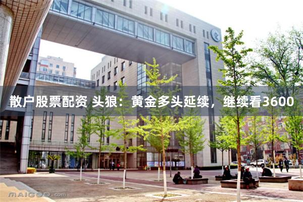 散户股票配资 头狼：黄金多头延续，继续看3600