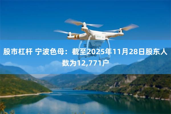 股市杠杆 宁波色母：截至2025年11月28日股东人数为12,771户