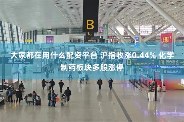 大家都在用什么配资平台 沪指收涨0.44% 化学制药板块多股涨停