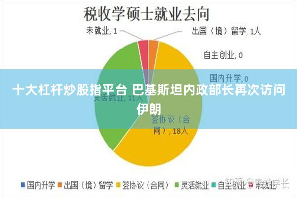 十大杠杆炒股指平台 巴基斯坦内政部长再次访问伊朗