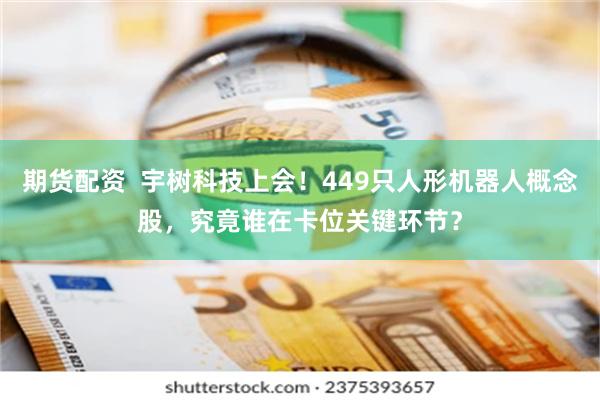 期货配资  宇树科技上会！449只人形机器人概念股，究竟谁在卡位关键环节？