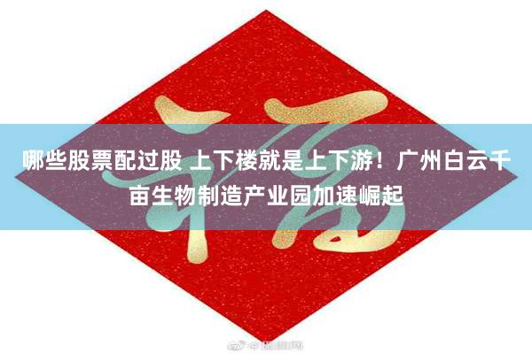 哪些股票配过股 上下楼就是上下游!广州白云千亩生物制造产业园加速崛起