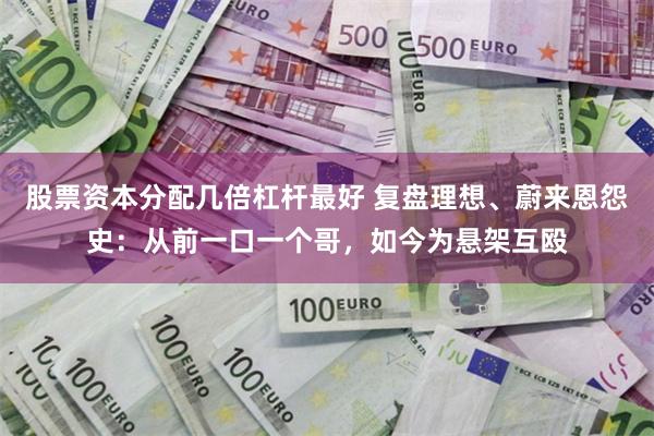 股票资本分配几倍杠杆最好 复盘理想、蔚来恩怨史:从前一口一个哥,如今为悬架互殴