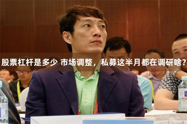 股票杠杆是多少 市场调整，私募这半月都在调研啥？