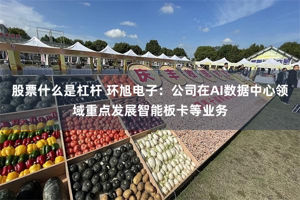 股票什么是杠杆 环旭电子：公司在AI数据中心领域重点发展智能板卡等业务