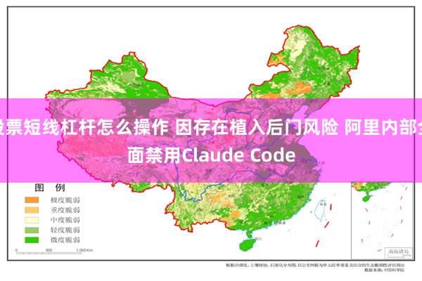 股票短线杠杆怎么操作 因存在植入后门风险 阿里内部全面禁用Claude Code