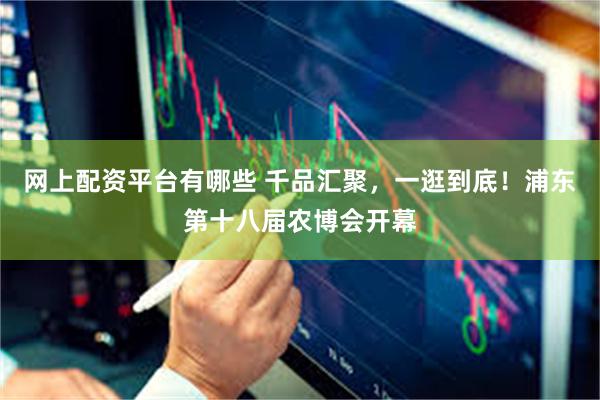 网上配资平台有哪些 千品汇聚，一逛到底！浦东第十八届农博会开幕