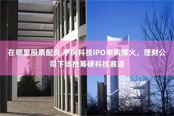 在哪里股票配资 宇树科技IPO申购爆火，理财公司下场抢筹硬科技赛道