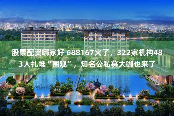 股票配资哪家好 688167火了，322家机构483人扎堆“围观”，知名公私募大咖也来了