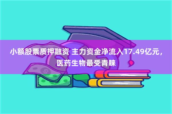 小额股票质押融资 主力资金净流入17.49亿元，医药生物最受青睐