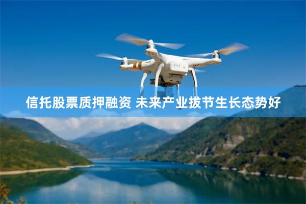 信托股票质押融资 未来产业拔节生长态势好