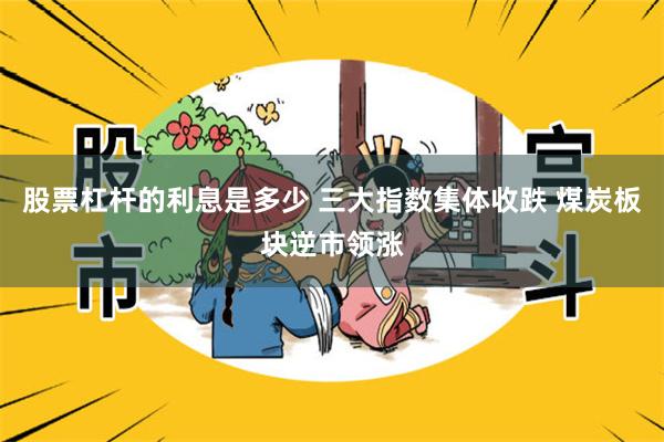 股票杠杆的利息是多少 三大指数集体收跌 煤炭板块逆市领涨
