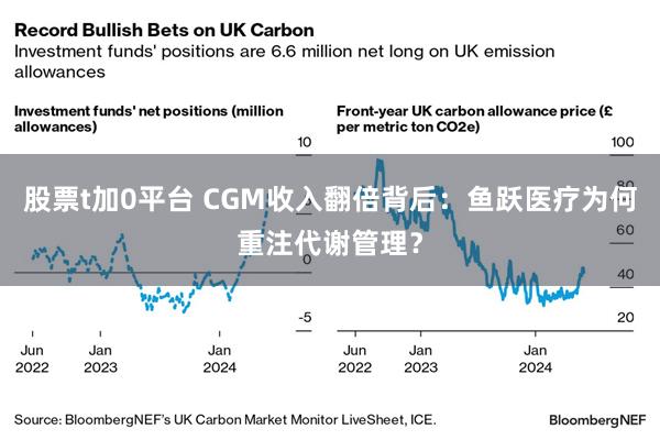 股票t加0平台 CGM收入翻倍背后：鱼跃医疗为何重注代谢管理？