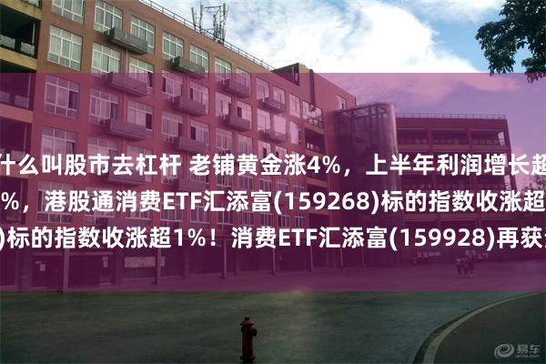 什么叫股市去杠杆 老铺黄金涨4%，上半年利润增长超88%!安踏体育涨超9%，港股通消费ETF汇添富(159268)标的指数收涨超1%！消费ETF汇添富(159928)再获资金青睐