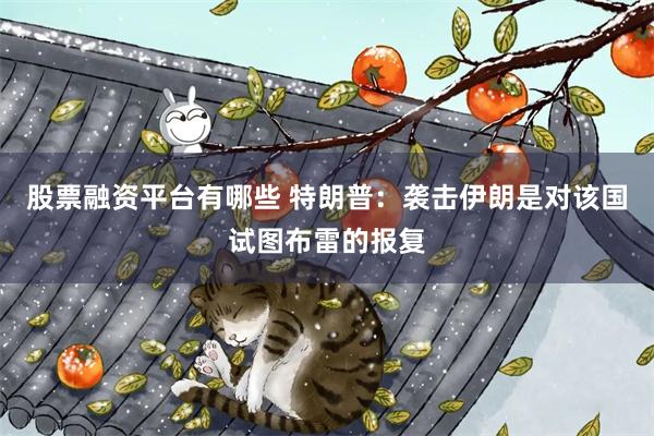股票融资平台有哪些 特朗普:袭击伊朗是对该国试图布雷的报复