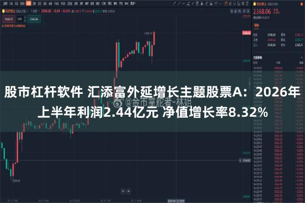 股市杠杆软件 汇添富外延增长主题股票A：2026年上半年利润2.44亿元 净值增长率8.32%