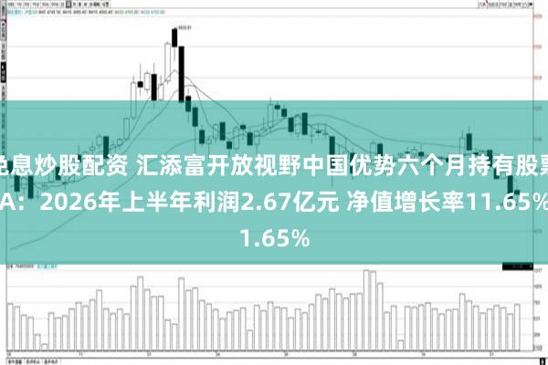 免息炒股配资 汇添富开放视野中国优势六个月持有股票A：2026年上半年利润2.67亿元 净值增长率11.65%